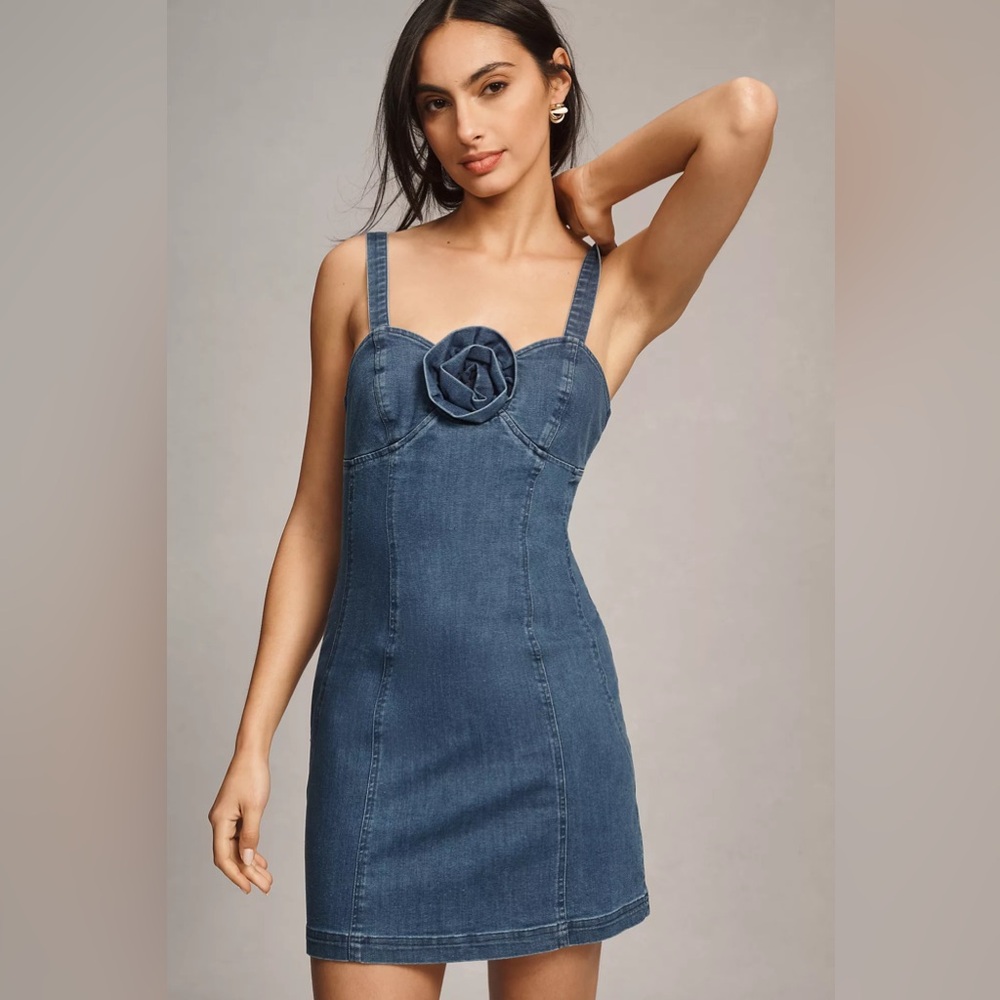 Anthropologie Porridge Rosette Denim Slim Mini Dress